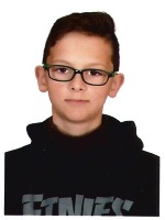 Pere Falomir Vila