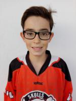 Hugo Eustaquio Llopis