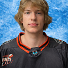 Hudson Fox